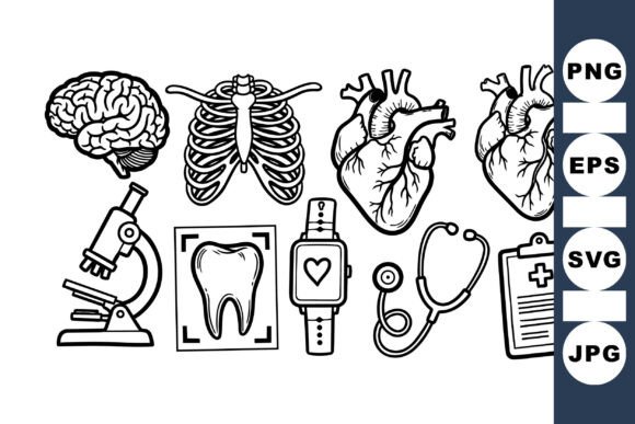 Download Anatomy Medical Science Clipart Set - Science Collection